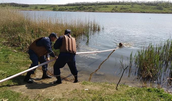 Підготовка до купального сезону на Марківщині