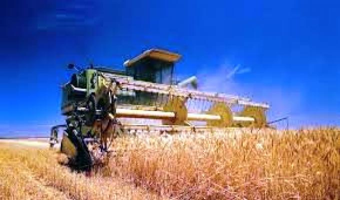 Збирання озимих культур на Марківщині