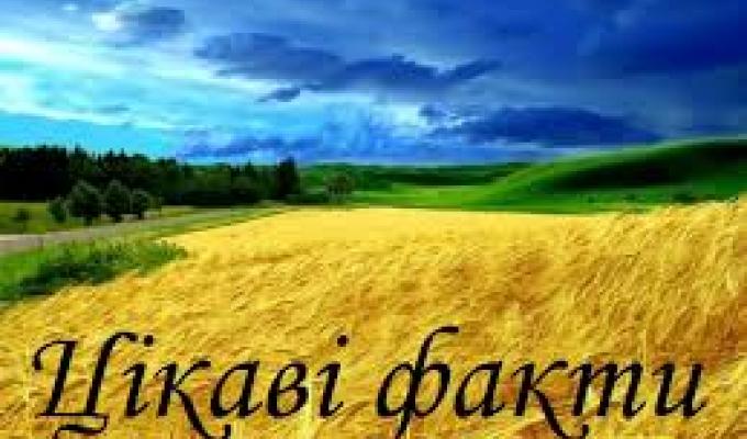 Пільги щодо сплати земельного податку для фізичних осіб