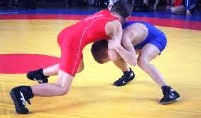 Марківчани здобули призові місця на Чемпіонаті області з вільної боротьби