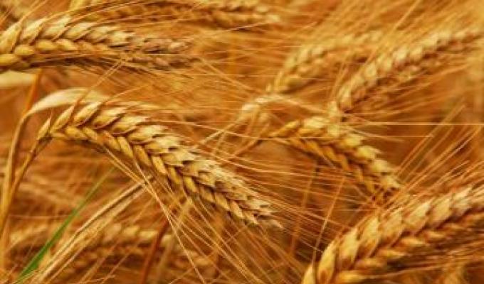 До уваги підприємців – сільгосптоваровиробників Луганщини