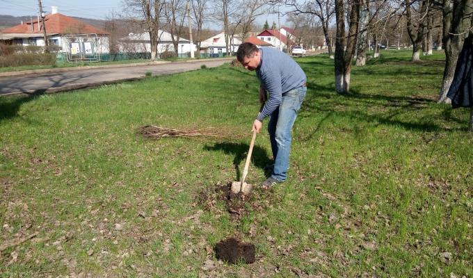 День довкілля в Марківському районі