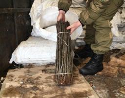 На Луганщині біля кордону затримано партію саджанців вартістю понад мільйон гривень