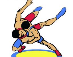 Про присвоєння спортивних розрядів  спортсменам Марківського району