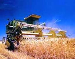 Збирання озимих культур на Марківщині