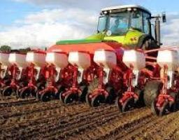 На Марківщині триває сівба озимих зернових культур