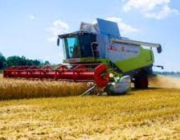На Марківщині триває збір ранніх зернових культур