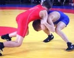 Марківчани здобули призові місця на Чемпіонаті області з вільної боротьби