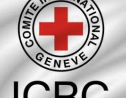 Міжнародний Комітет Червоного Хреста допомагає у відбудові Луганщини