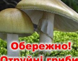 Увага, гриби! Отруєння грибами небезпечне для життя.