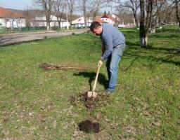 День довкілля в Марківському районі