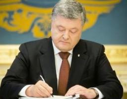 Президент підписав Закон про посилення відповідальності за незаконну порубку лісу та порушення вимог з охорони пралісів