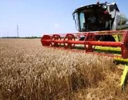 Найближчим часом на Луганщині розпочнуться жнива, – брифінг