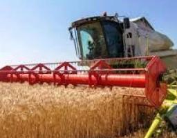 Аграрії Луганщини зібрали 1 млн 126 тис. тонн ранніх зернових культур